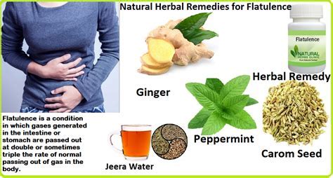 Natural Remedies for Allergies and Hay Fever