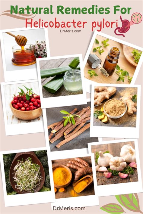 Natural Treatments for H Pylori