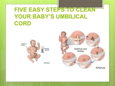 Navel Cord Care in Different Cultures