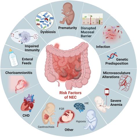 Necrotizing Enterocolitis Clinical Presentation
