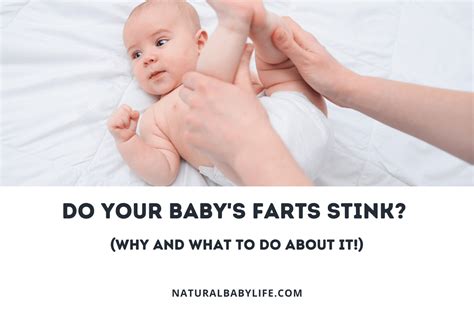 newborn fart conclusion