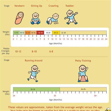 newborn weight conclusion