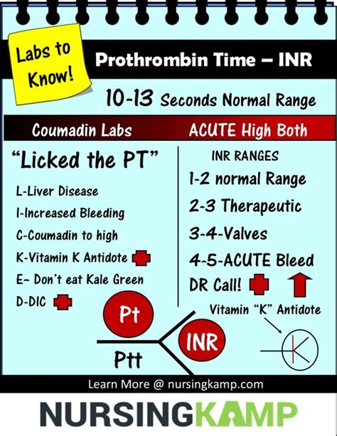 Normal INR Levels Range