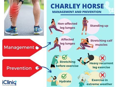 Nutritional considerations for Charlie horse prevention