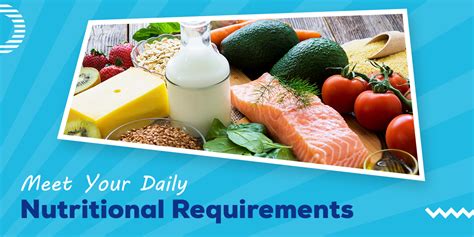 nutritional requirements for fetal development at 5 weeks