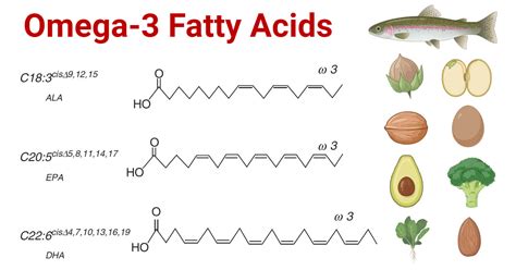 omega-3 fatty acids
