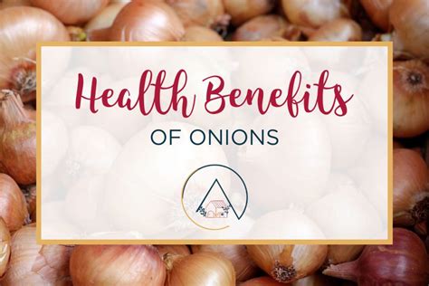 onion digestive health benefits