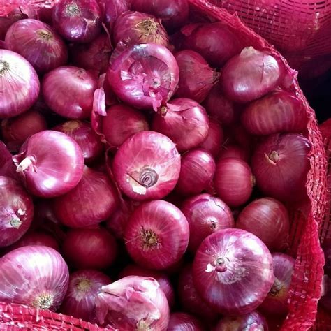 onion fiber benefits