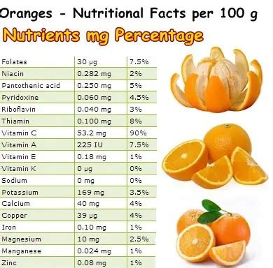 orange nutrition