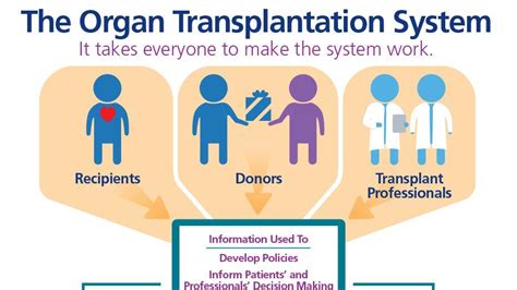Organ Transplantation Transmission