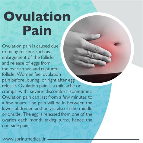 Ovulation pain and fertility