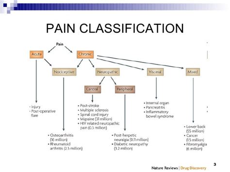 pain mechanisms