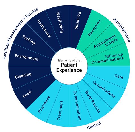 Patient Experience