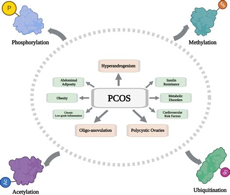Metformin and PCOS