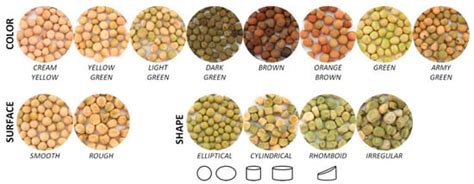 pea varieties