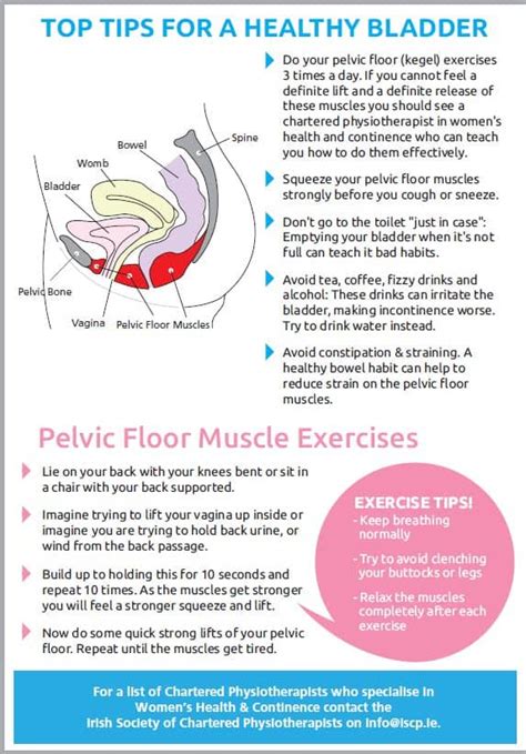 Pelvic Floor Health Tips
