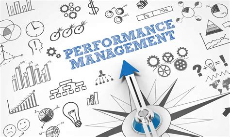 performance management and development