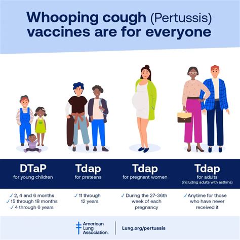 Pertussis bacteria
