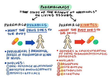 pharmacokinetics and pharmacodynamics