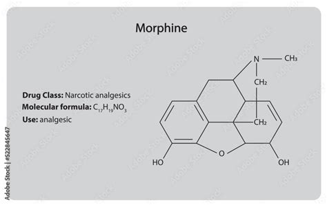 Pharmacology of Morphine