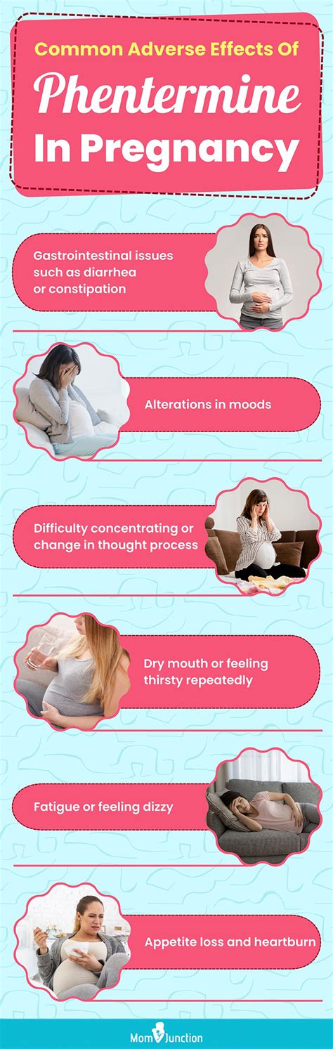 phentermine pregnancy