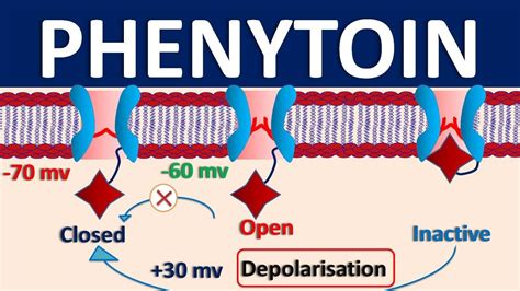 Phenytoin mechanism of action