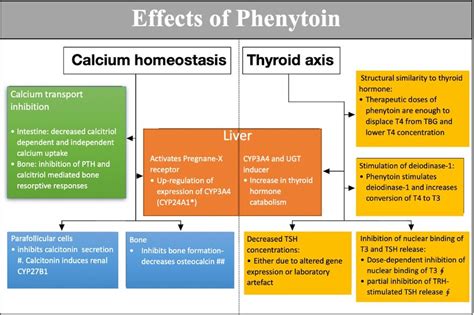 Phenytoin statistics