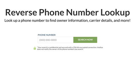 Phone Call Lookup