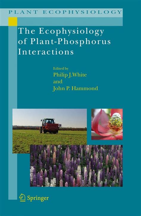 Interactions and side effects of phosphorus