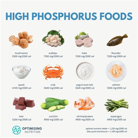phosphorus rich foods conclusion