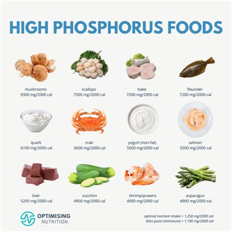 phosphorus-rich foods for different dietary needs