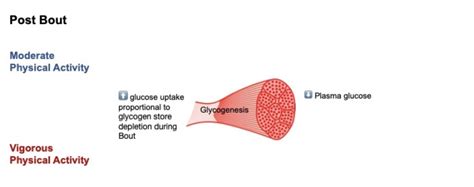 Physical Activity and Glucose