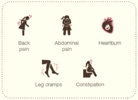 physical changes during 2nd trimester
