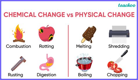 Physical Changes and Symptoms