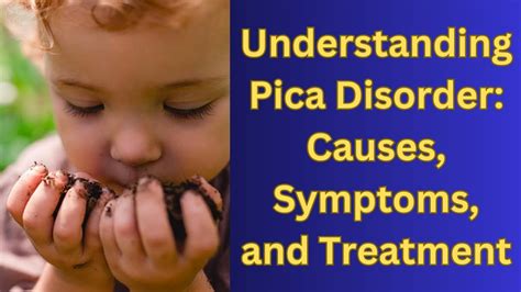 Pica Disorder Conclusion