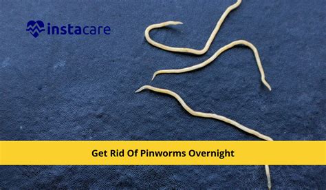 Pinworms