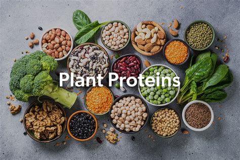 plant-based proteins