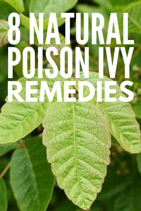 poison ivy treatment