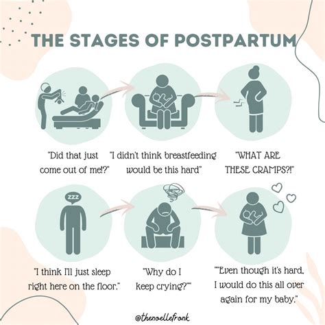 Postpartum Phase