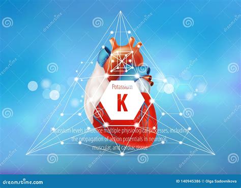 potassium and heart health