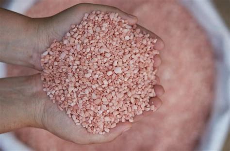 Potassium Chloride Agriculture