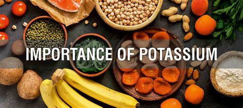 Potassium importance