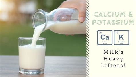 potassium in milk faqs