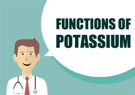 Potassium and muscle function