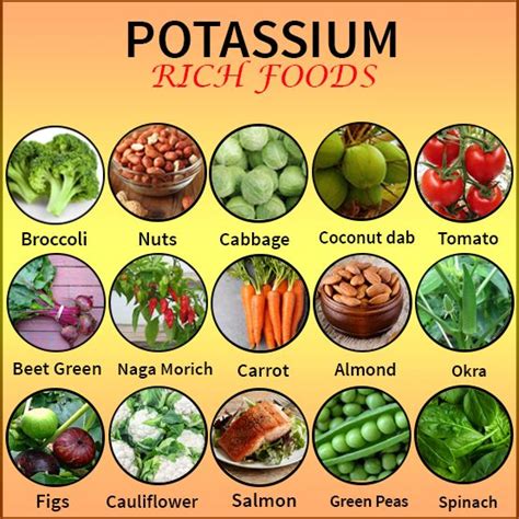 potassium rich proteins