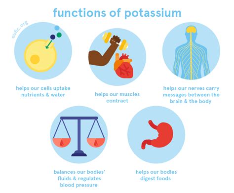 Potassium's role in the body
