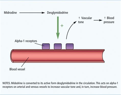 Practical Examples of Midodrine