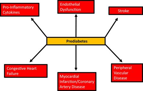 Prediabetes and Cardiovascular Disease