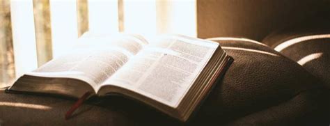 Conclusion and next steps