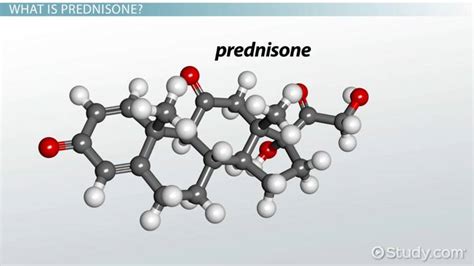 Prednisone Mechanism of Action